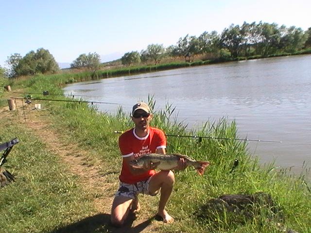 la rapitor - pic0753.JPG